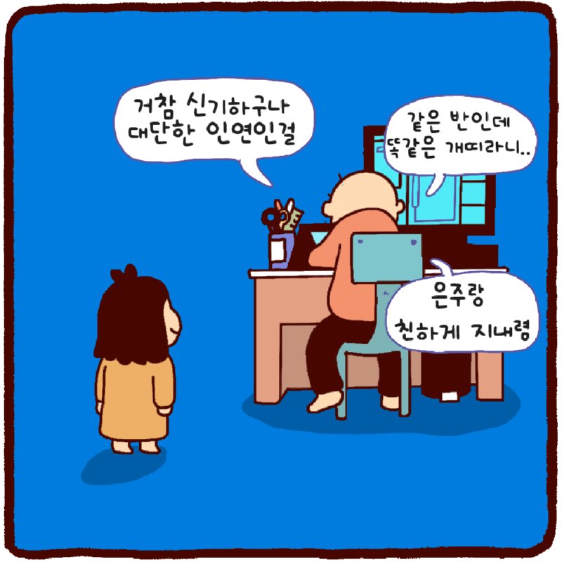 개띠 소녀들.